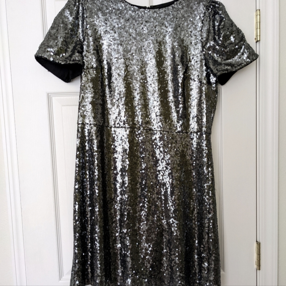 Ann Taylor Silver Sequined Party Dress